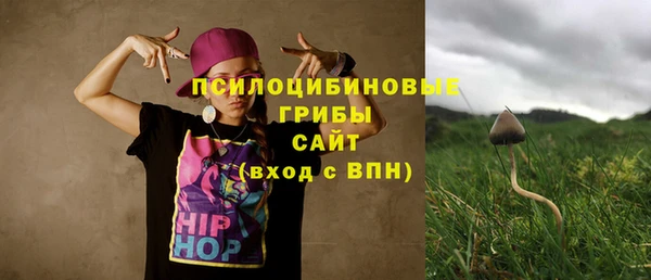 хмурый Алексеевка