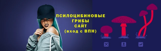хмурый Алексеевка