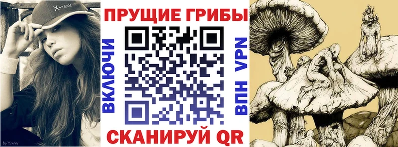 ссылка на мегу вход  Шелехов  Галлюциногенные грибы MAGIC MUSHROOMS  закладка 